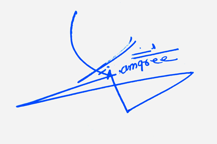 Liam Greer Name Cursive Handwritten Signature Style Ideas