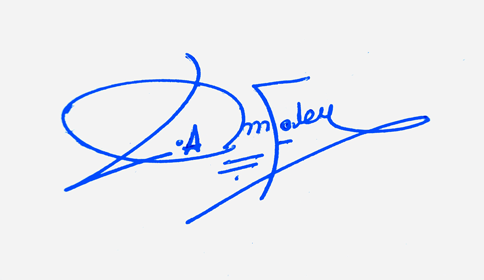 Lam Foley Name Cursive Handwritten Signature Ideas