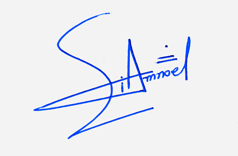 Liam Noel Name Cursive Handwritten Signature Style Ideas