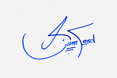 Liam Ford Name Cursive Handwritten Signature Style Ideas