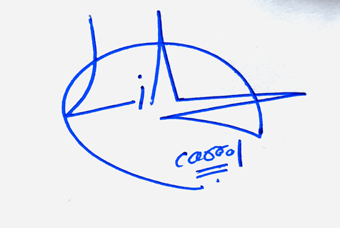 Liam Carrol Name Cursive Handwritten Signature Style Ideas