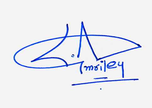 Liam Riley Name Cursive Handwritten Signature Style Ideas