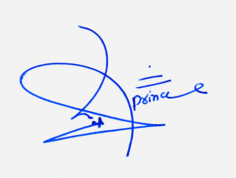 Liam Prince Name Cursive Handwritten Signature Style Ideas