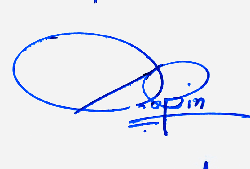 Robin Name Cursive Handwritten Signature Style Ideas